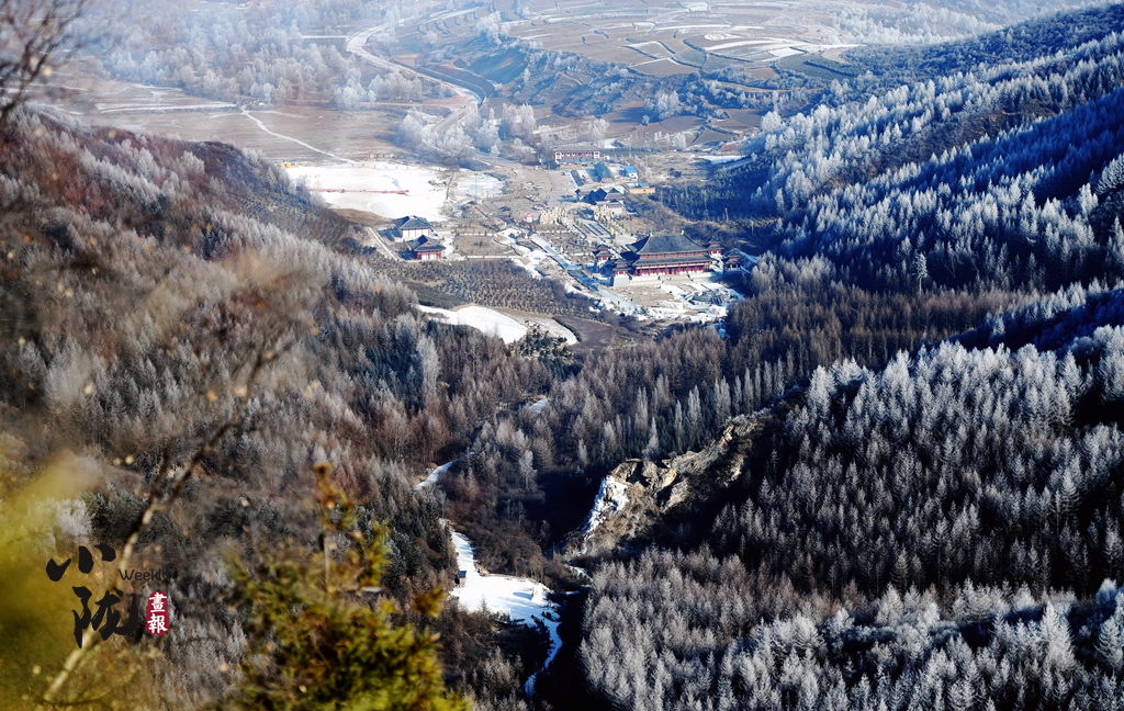 小隴畫(huà)報(bào)|甘肅渭源霧?。河駱?shù)瓊花靚山野（82期）