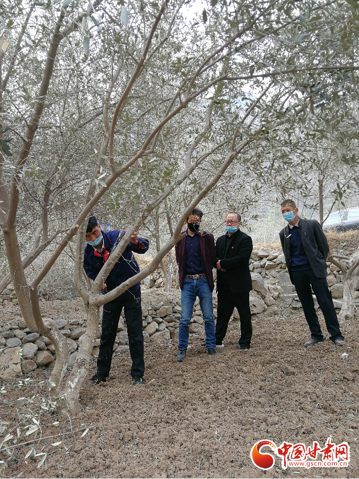 【甘肅全民戰(zhàn)“疫”】防疫“不下”生產(chǎn)線“青果果”培育正當(dāng)時(shí)