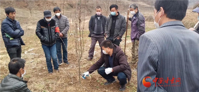 【甘肅全民戰(zhàn)“疫”】隴南徽縣：花椒田里培訓(xùn)忙，戰(zhàn)疫春耕兩不誤