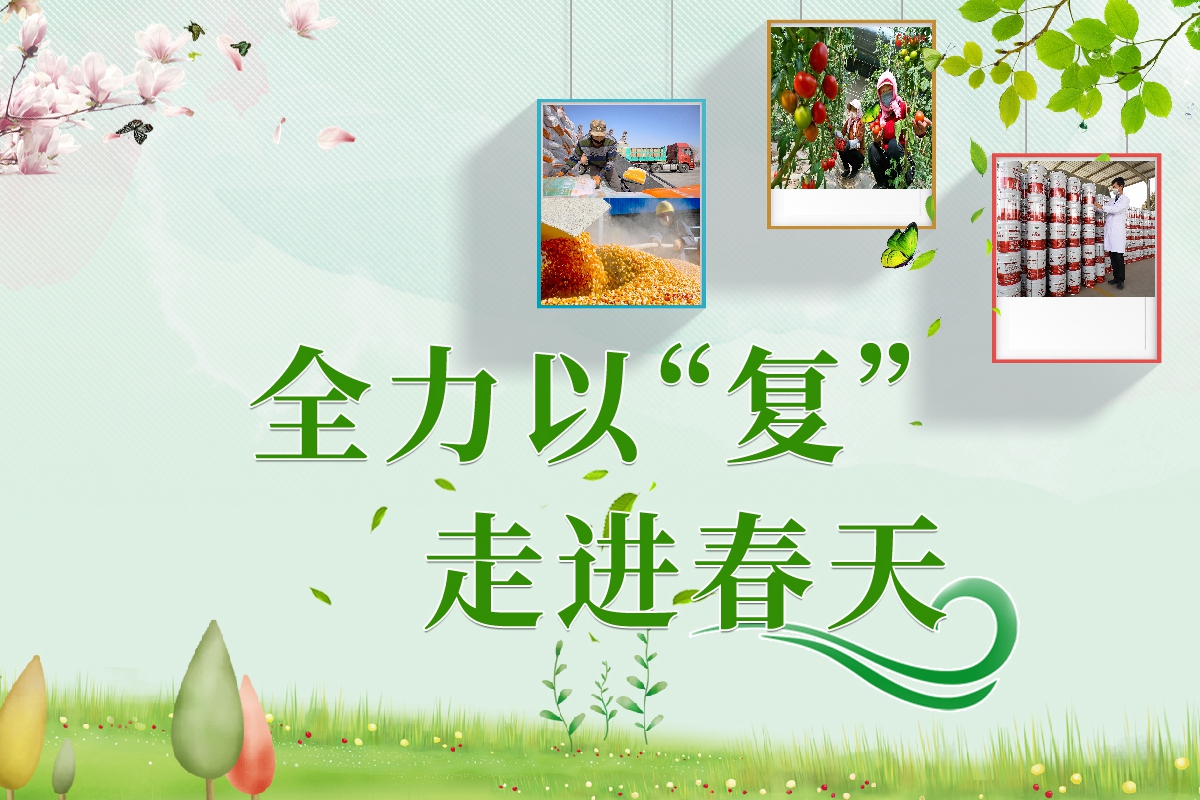 長圖|全力以“復”！甘肅走進春天里  
