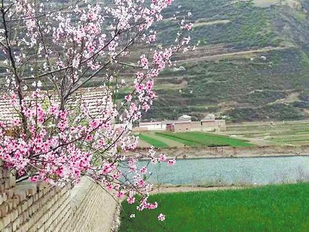 美顏值　增內(nèi)涵——定西渭源縣峽城鄉(xiāng)全力推進美麗鄉(xiāng)村建設側記