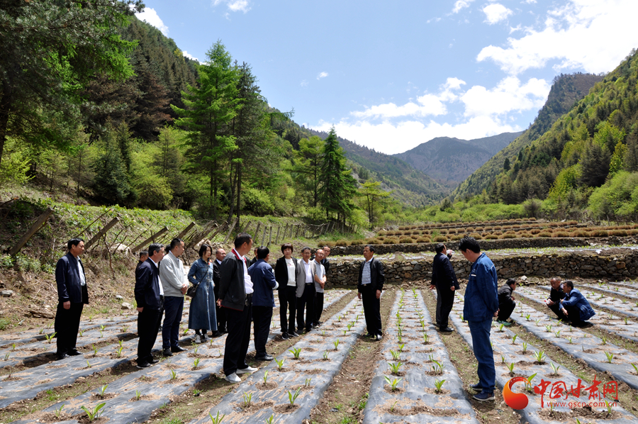 白龍江博峪河保護(hù)局開(kāi)展產(chǎn)業(yè)發(fā)展、義務(wù)勞動(dòng)成果現(xiàn)場(chǎng)觀摩交流活動(dòng)