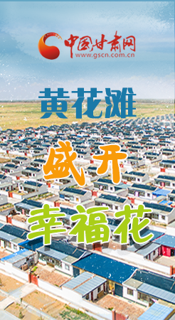 【跟著總書記看甘肅】長圖|武威黃花灘盛開幸?；?