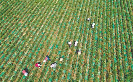 幸福敲開(kāi)農(nóng)家門——隴南徽縣脫貧攻堅(jiān)工作綜述