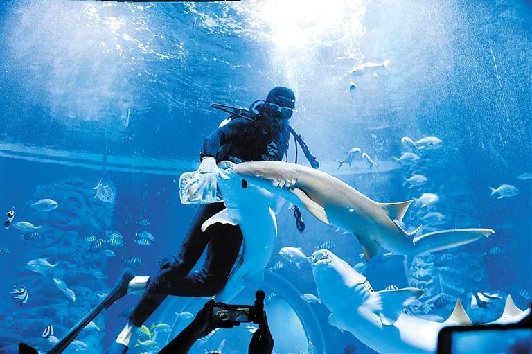 蘭州海洋公園 金昌火星1號基地 這個暑假我們“上天入?！?>
        </a><em>蘭州海洋公園 金昌火星1號基地 這個暑假我們“上天入?！?/em></li>
    <li><a  target=