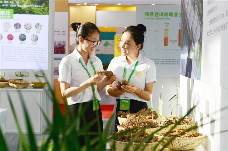 定西，從“千年藥鄉(xiāng)”邁向“中國(guó)藥都”