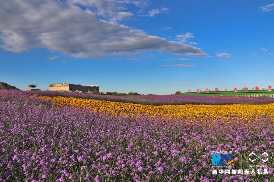 【“飛閱”中國】鳳凰花?！罢钩帷钡は伎?>
        </a><em>【“飛閱”中國】鳳凰花?！罢钩帷钡は伎?/em></li>
    <li><a  target=
