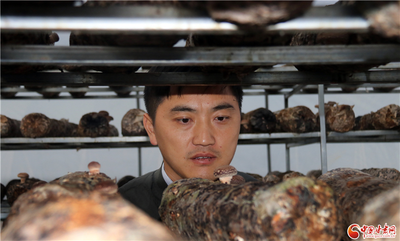 110年！何家溝村終于有了集體經(jīng)濟——中建二局黨建結(jié)對幫扶成效顯著