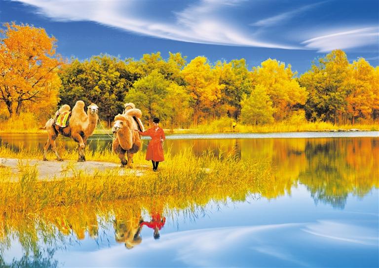 國慶長假，去金塔遇見最美胡楊