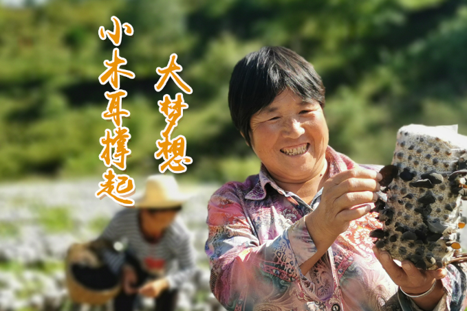 海報(bào)丨他們，乘“豐”破浪！