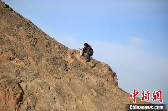 圖為敦煌“80后”畫家張杰龍在敦煌三危山里采集礦石顏料。(資料圖)受訪者供圖