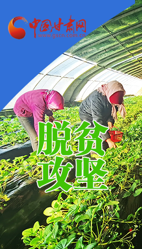 圖解|關(guān)于脫貧攻堅(jiān) 書記省長這樣強(qiáng)調(diào)