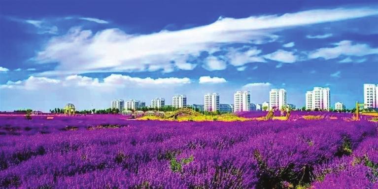 “三連冠”！金昌蟬聯(lián)全國文明城市