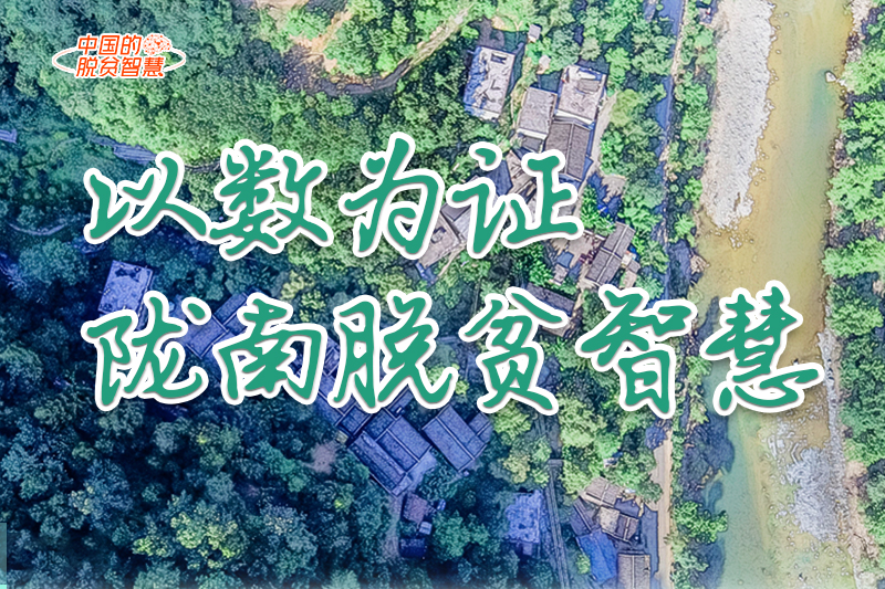 【中國的脫貧智慧】以數(shù)為證！隴南脫貧智慧來了！