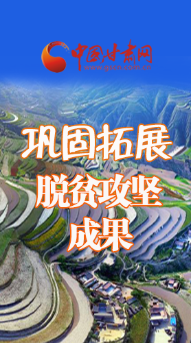 圖解|甘肅如何鞏固脫貧攻堅(jiān)成果,看看省委書(shū)記怎么說(shuō)   