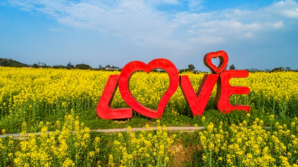 “l(fā)ove”創(chuàng)意拍照墻。廖濤 攝