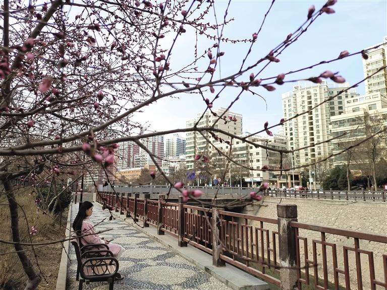 蘭州“第一朵花”開了！