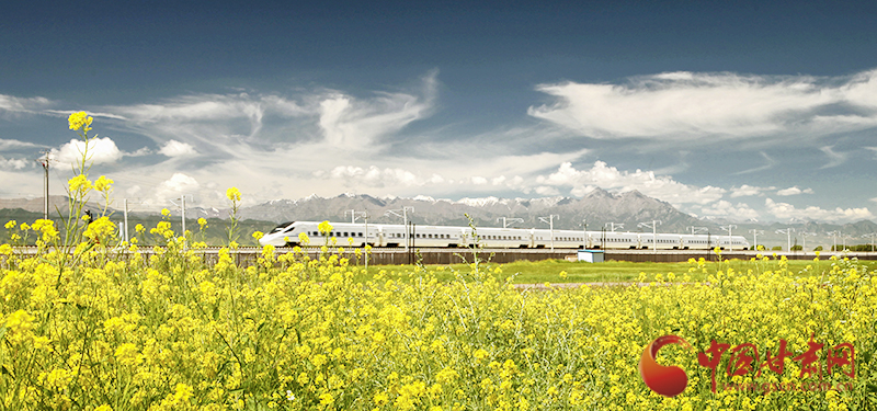 坐上火車“邂逅”春天，你可以這樣享“鐵路游”