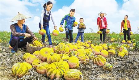 【偉大奇跡中的甘肅印記——甘肅脫貧攻堅紀(jì)實(shí)】精準(zhǔn)施策 精彩答卷