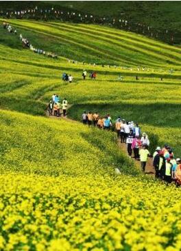 甘肅明確農(nóng)民進(jìn)城落戶:不以退出承包地、林地等為條件