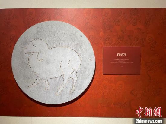 圖為展覽現(xiàn)場(chǎng)?！〗瓧顭?攝