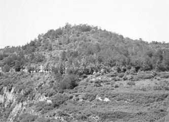 歷史眼丨張果老是正寧人？他與甘肅福緣不淺