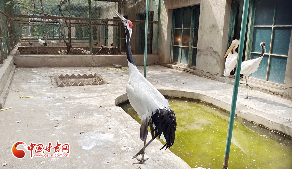 蘭州公安提醒市民：非緊急非必要，不出境