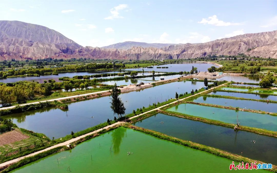 一秒入畫(huà)！太極島濕地風(fēng)光秀麗