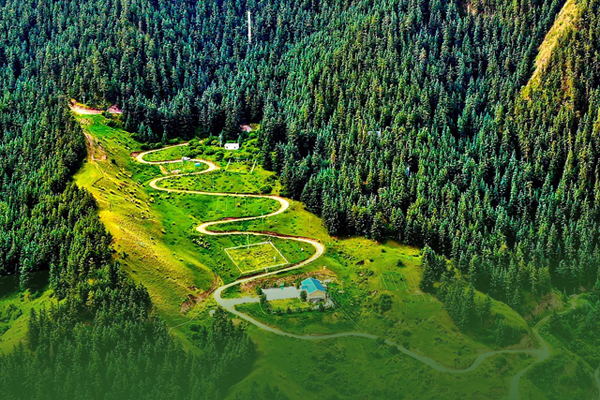 海報(bào)|祁連山保護(hù)區(qū)生態(tài)環(huán)境問題整改全面完成！