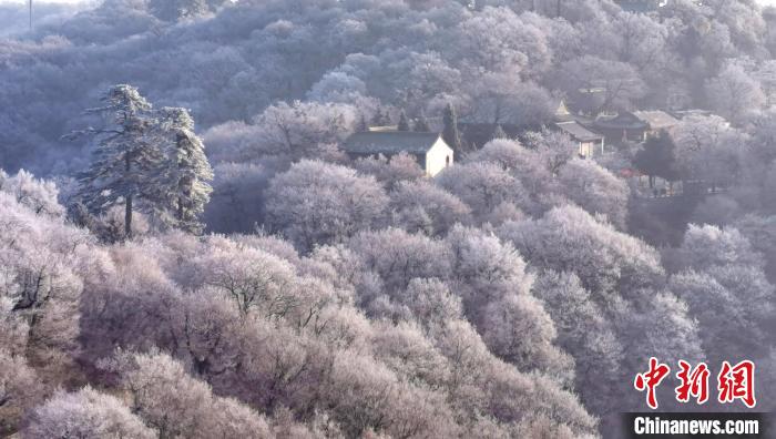 圖為霧凇美景?！⌒煺袢A 攝