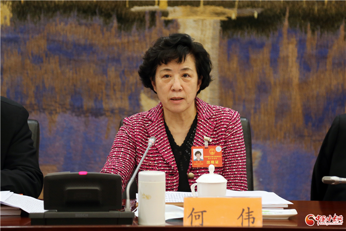 【聚焦2022甘肅兩會(huì)·代表委員說(shuō)】省人大代表何偉：開拓奮進(jìn) 把每項(xiàng)任務(wù)落地落實(shí)