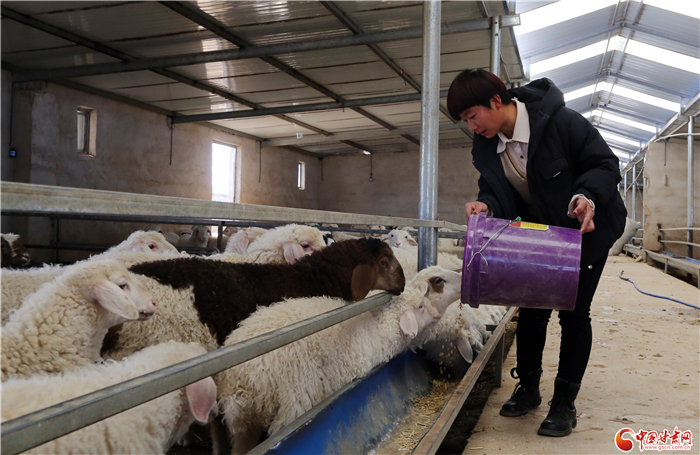 【小康路上看老鄉(xiāng)】蒲萬林：輾轉十年回鄉(xiāng) 沐浴政策春風創(chuàng)業(yè)致富