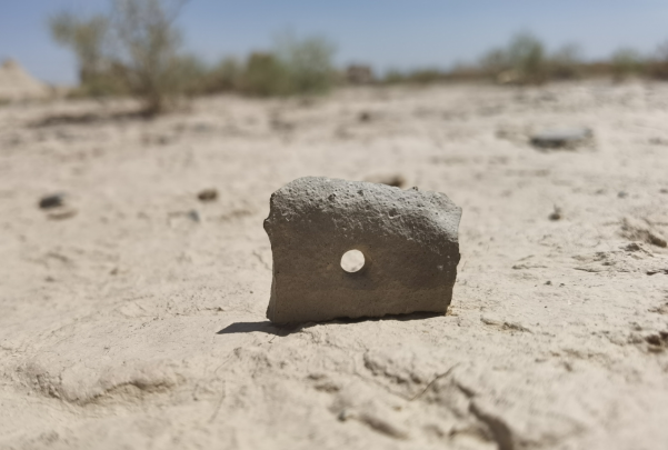 插圖1：河西走廊上遺存的古陶片。攝影：陳曉斌。拍攝日期：2020年6月。