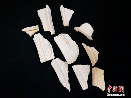 圖為靜寧縣賈河鄉(xiāng)竇坪村出土的彩陶片、紅陶片。 夏劍鋒 攝