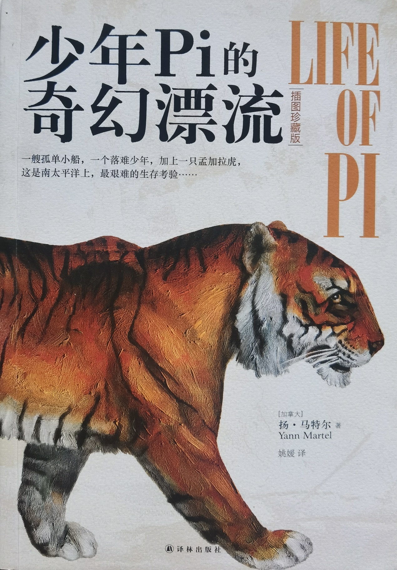 插圖1：揚(yáng)？馬特爾的小說《少年pi的奇幻漂流》封面