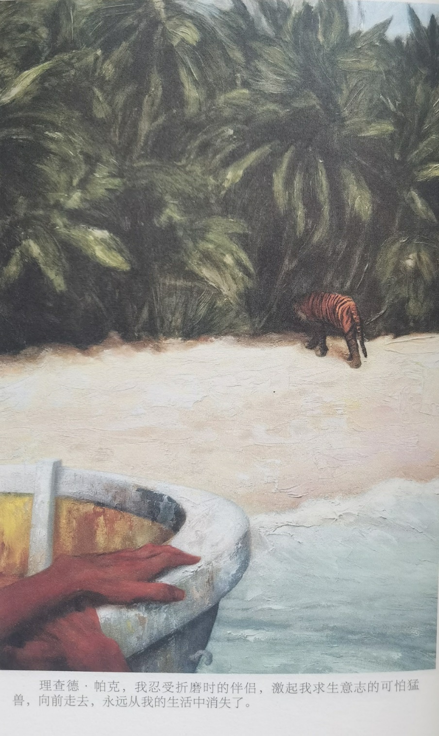插圖3：揚(yáng)？馬特爾的小說《少年pi的奇幻漂流》插圖