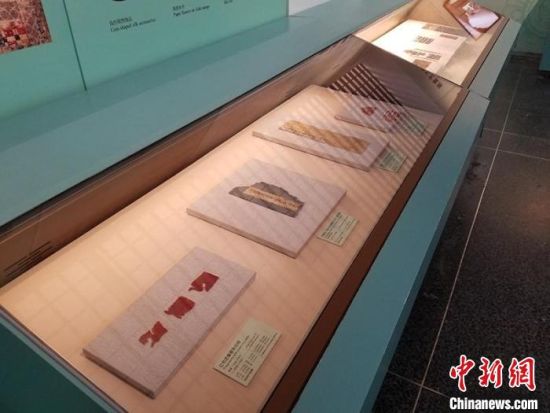 圖為展覽現(xiàn)場?！《鼗脱芯吭汗﹫D