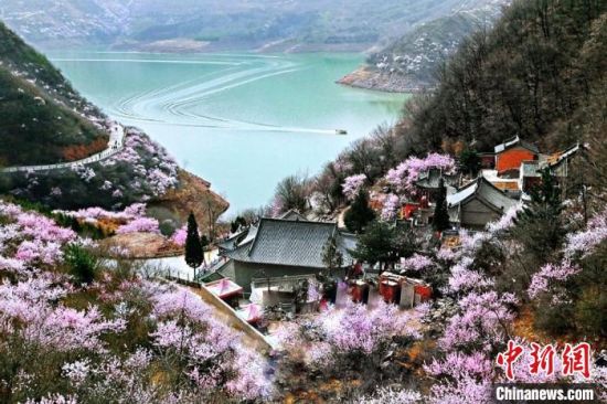 甘肅平?jīng)鍪惺侵袊鴥?yōu)秀旅游城市。圖為平?jīng)鲠轻忌较率锾一ㄊ㈤_。(資料圖) 平?jīng)鍪形麄鞑抗﹫D