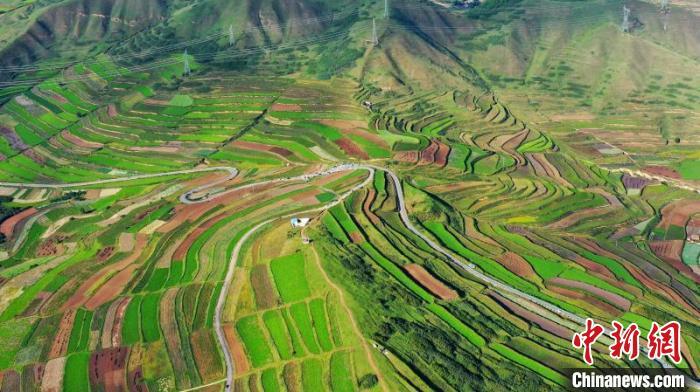 秋日里，榆中縣馬坡鄉(xiāng)千畝梯田，不同農(nóng)作物漸趨成熟，呈現(xiàn)出多種色彩，宛若大地的“調(diào)色盤”?！圆?攝