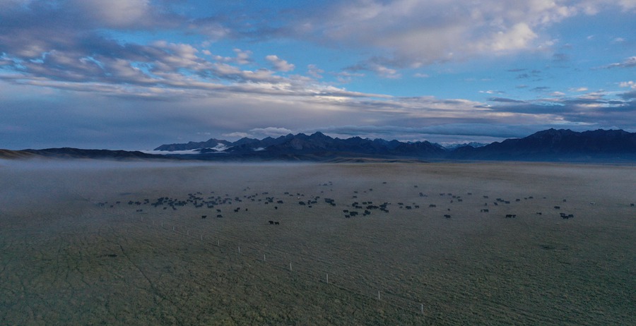 甘肅山丹馬場(chǎng)：峽谷云霧似仙境。 王超攝