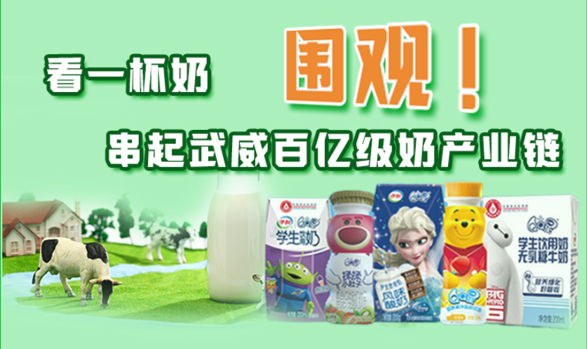 圖解|圍觀！看一杯奶串起武威百億級奶產(chǎn)業(yè)鏈