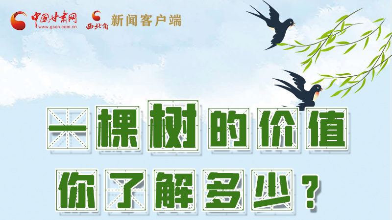 圖解|一棵樹的價(jià)值你了解多少?來(lái)看！