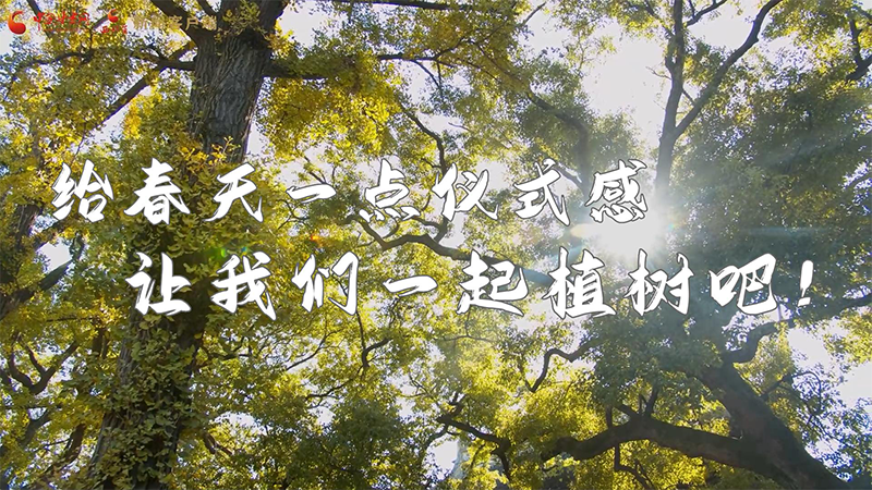 短視頻|給春天一點(diǎn)儀式感，讓我們一起植樹(shù)吧！