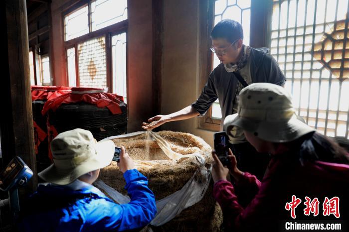 圖為青稞酒文化展示。　薛蒂 攝