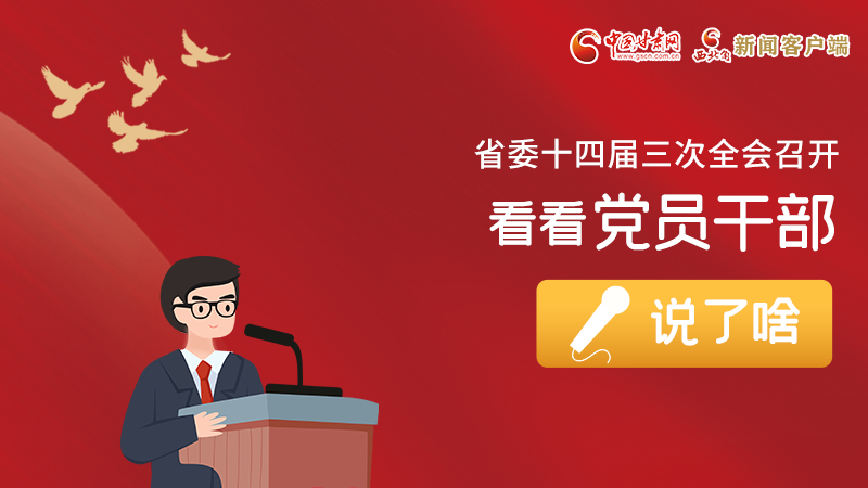 圖解|事關(guān)甘肅省委十四屆三次全會，黨員干部這么說！
