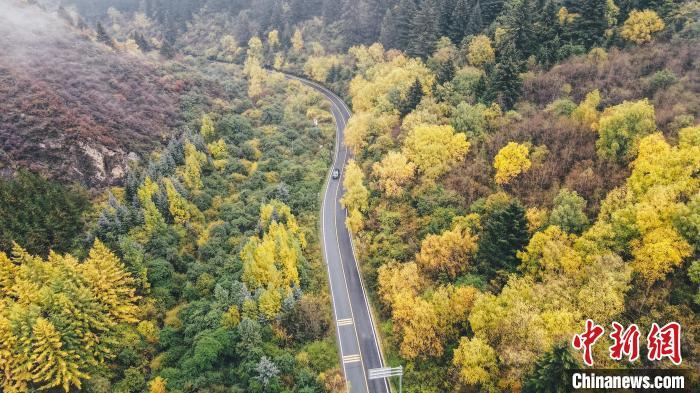 深秋，航拍位于蘭州市榆中縣的興隆山，景色如畫。金峯 攝</p>
<p>