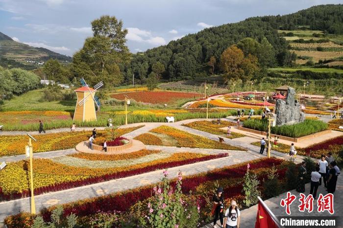 圖為航拍甘肅甘南臨潭縣八角鎮(zhèn)，花海吸引游人。(資料圖)高展 攝