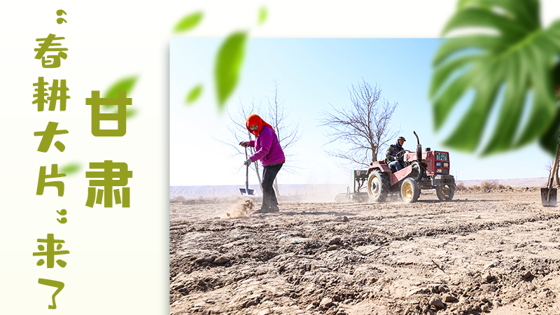 【甘快看】海報(bào)|瞧！甘肅“春耕大片”來(lái)了