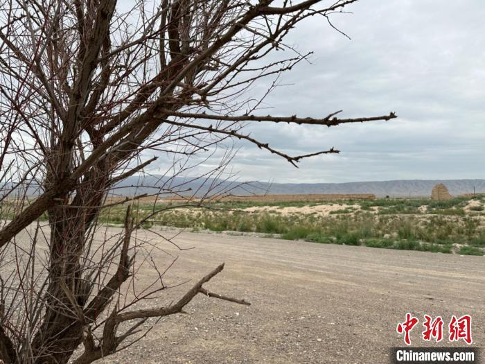 圖為位于長城墻體上的“馬面”或“敵臺”?！〈魑牟?攝