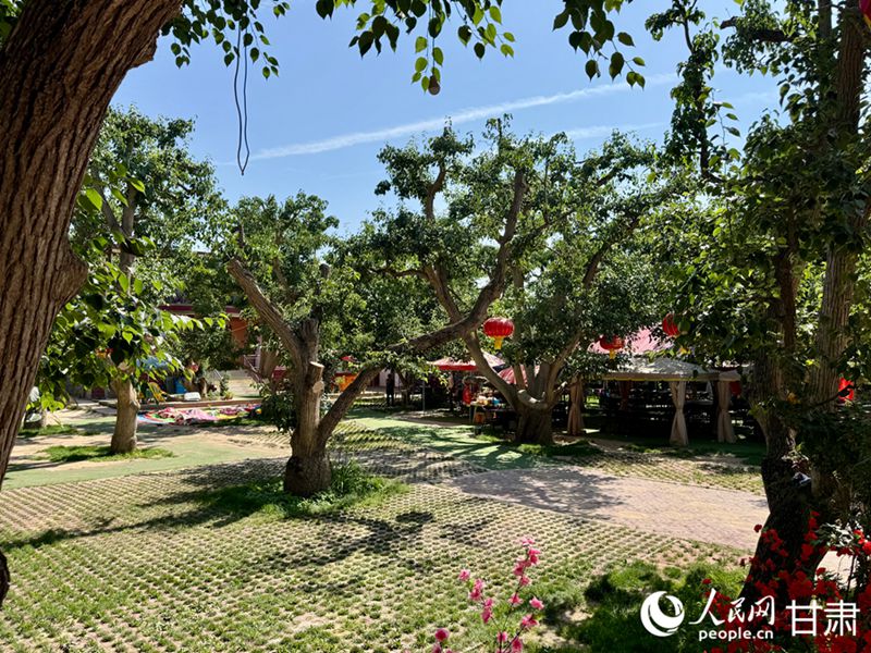 什川古梨園。人民網記者 焦隆攝